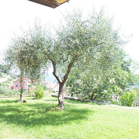 Apartament La Casa Con Vista Di Emma Vezzano Ligure Zewnętrze zdjęcie